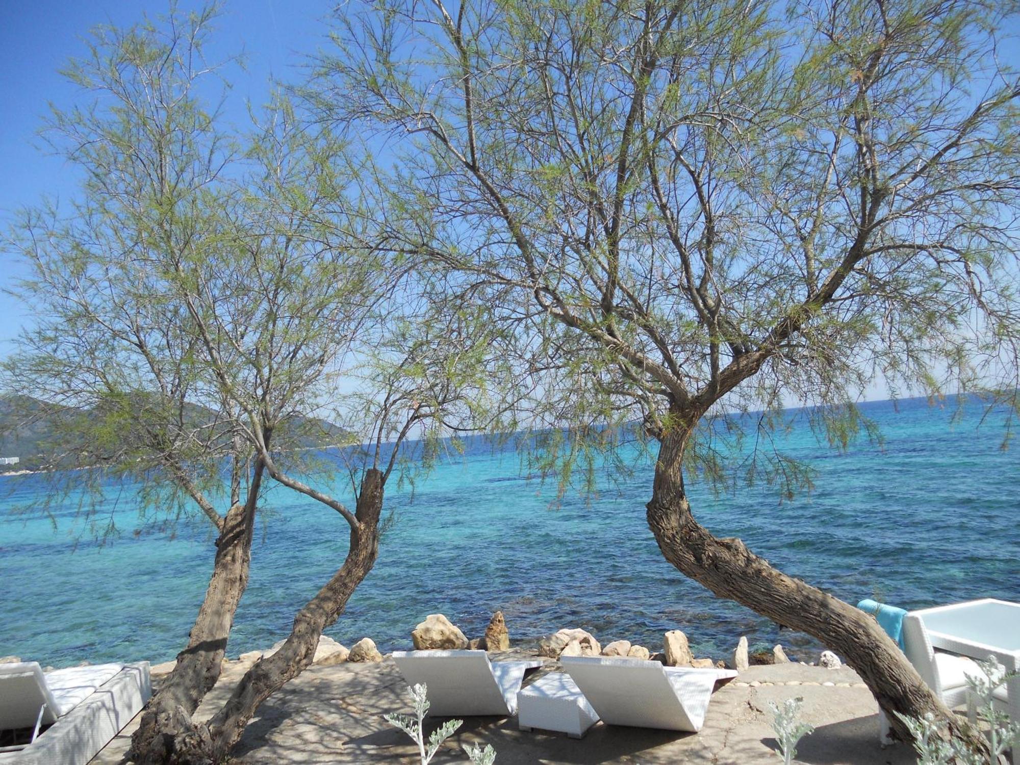 Finca Son Blat Porto Cristo Εξωτερικό φωτογραφία