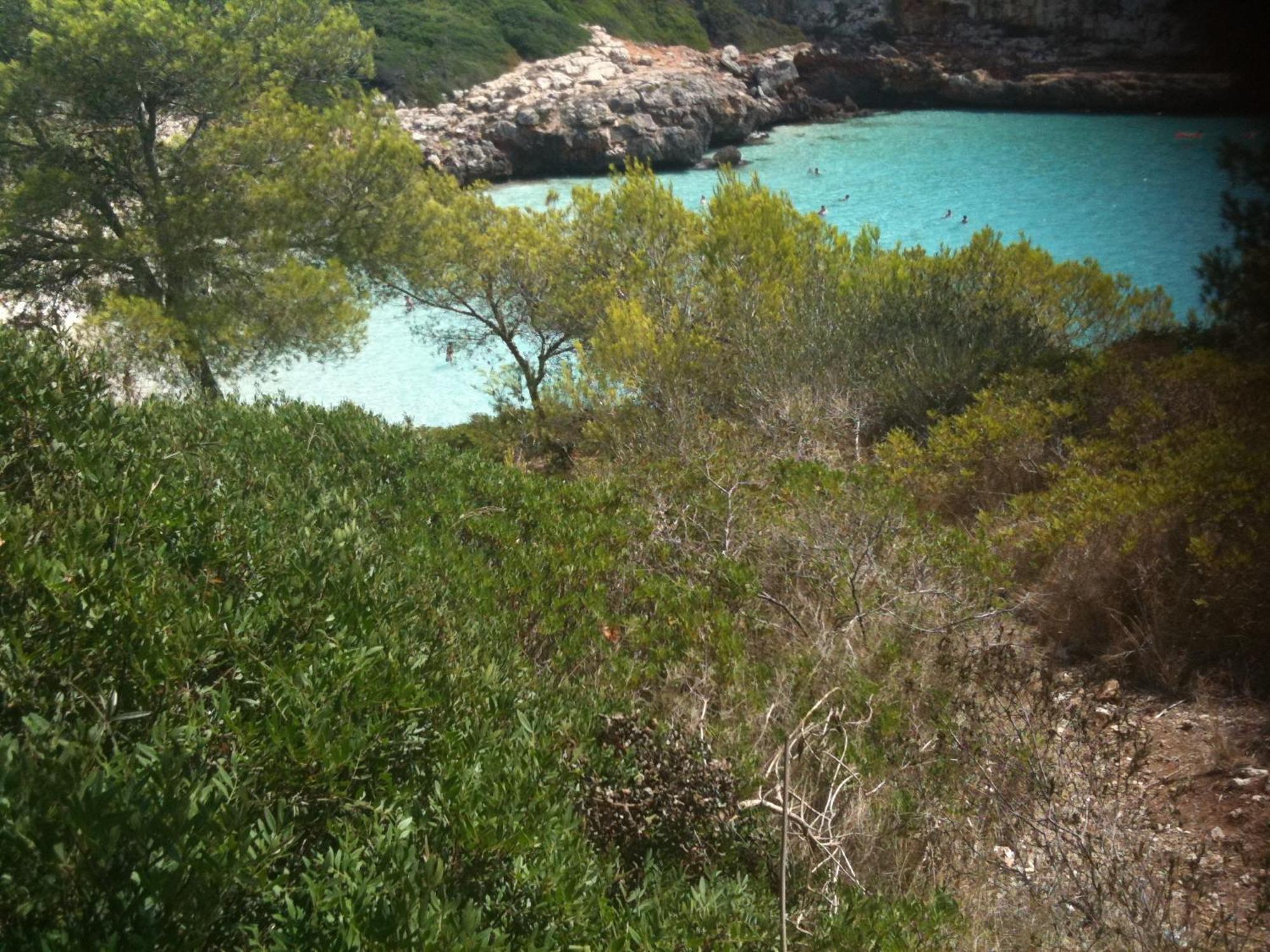Finca Son Blat Porto Cristo Εξωτερικό φωτογραφία