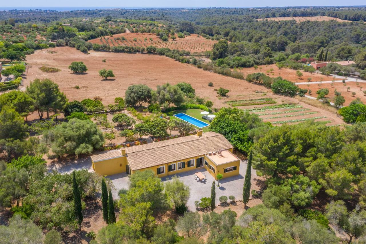 Finca Son Blat Porto Cristo Εξωτερικό φωτογραφία